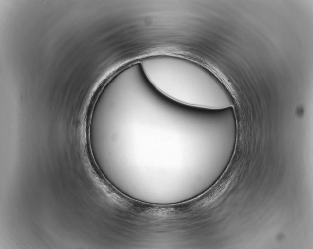 X0000099560939200805160747