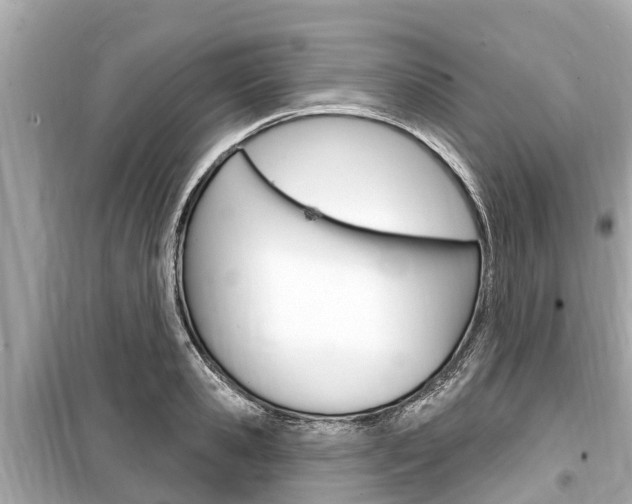 X0000099560941200805160747