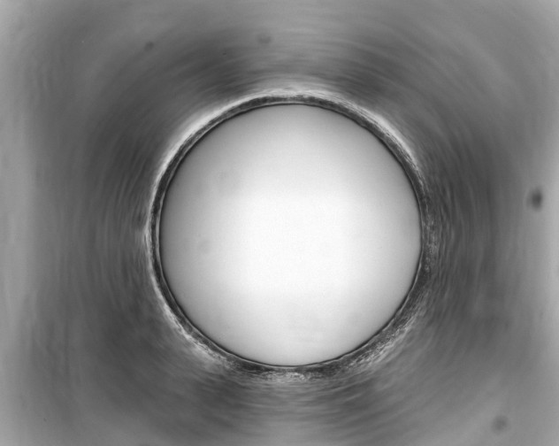 X0000099560943200805160747