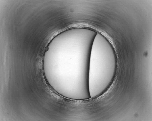 X0000099560945200805160747
