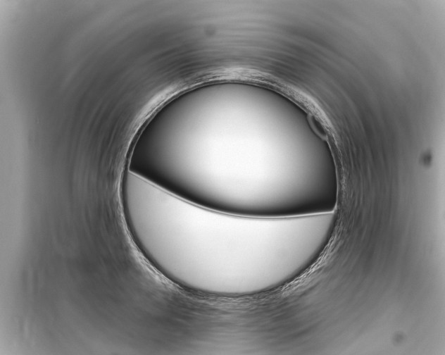 X0000099560946200805160747