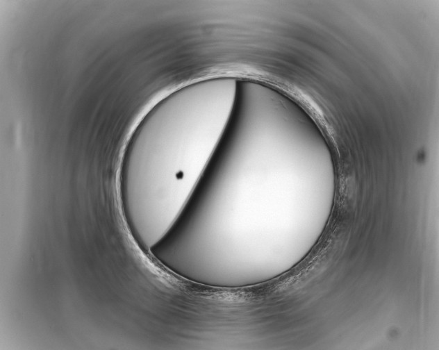 X0000099560947200805160747