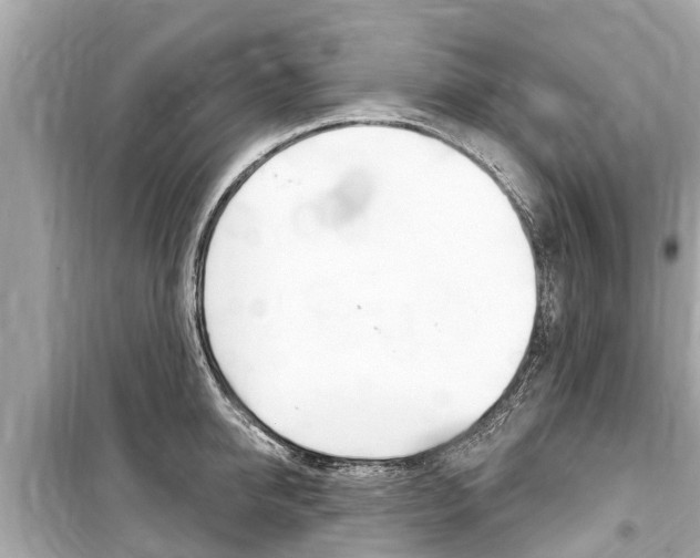 X0000099560950200805160747