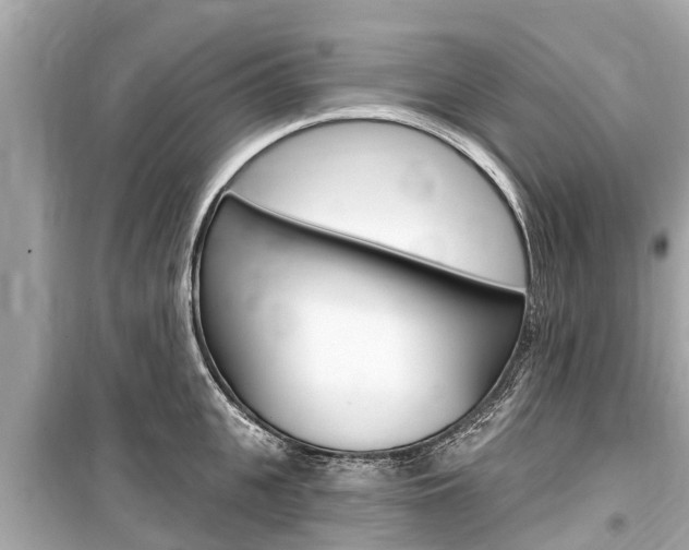 X0000099560951200805160747