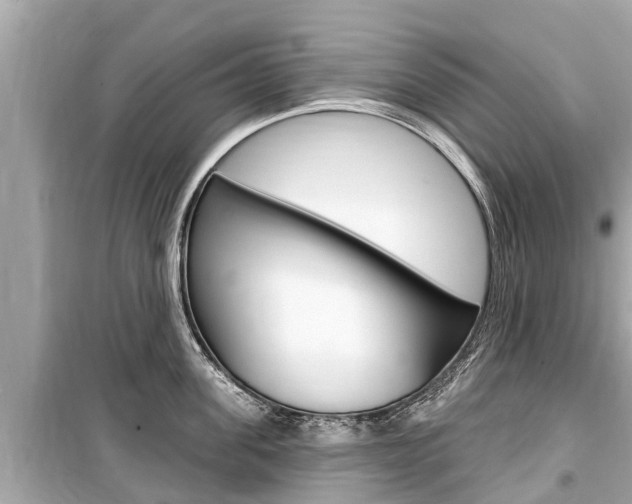X0000099560955200805160747