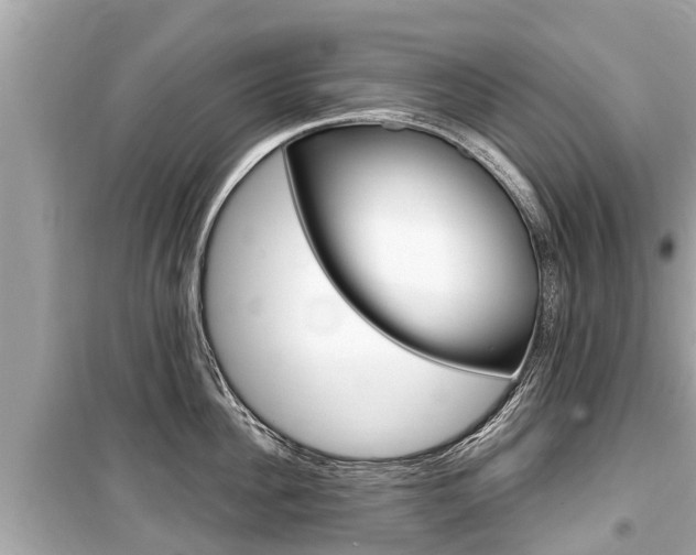 X0000099560956200805160747