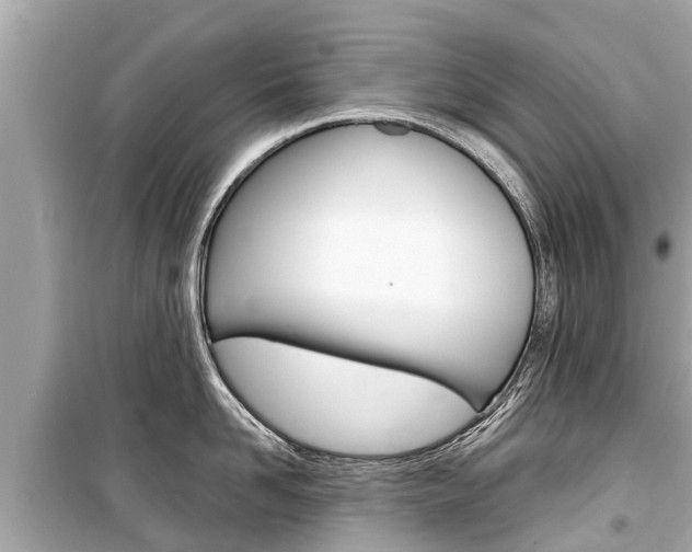 X0000099560958200805160747