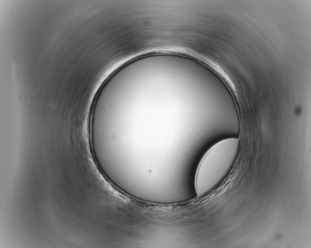 X0000099560959200805160747