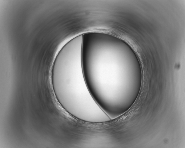 X0000099560960200805160747