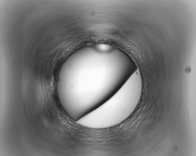 X0000099560963200805160747