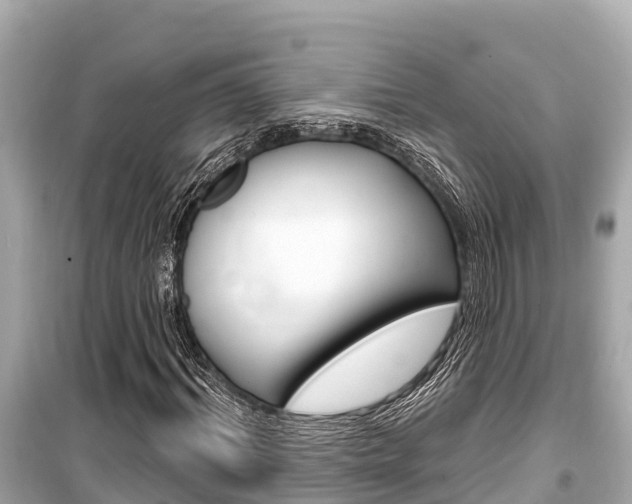 X0000099560964200805160747