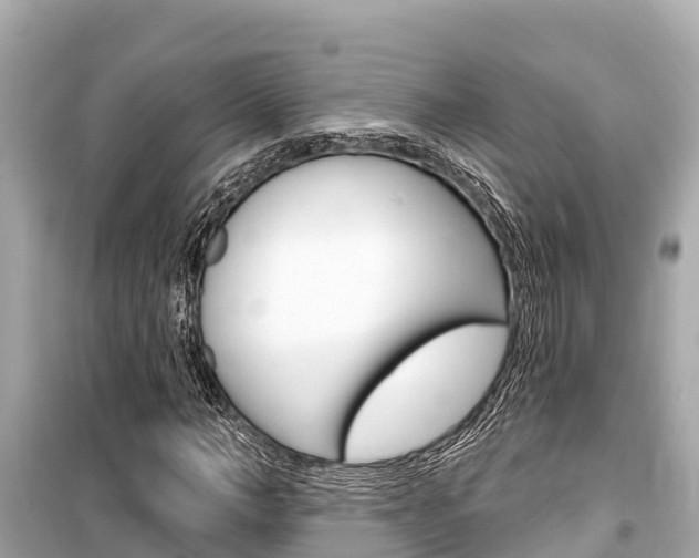 X0000099560966200805160747