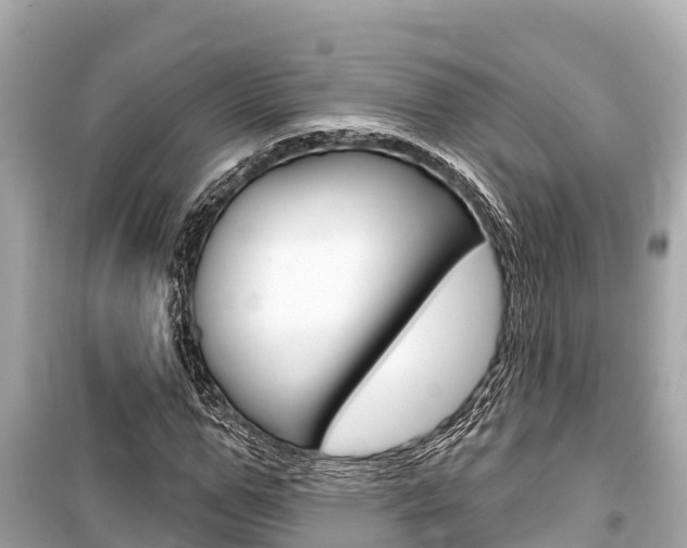 X0000099560967200805160746