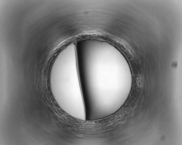 X0000099560968200805160746