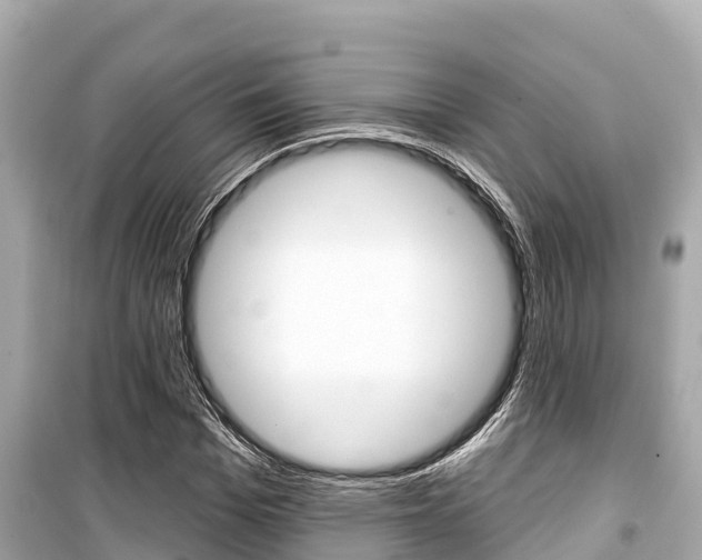 X0000099560969200805160746