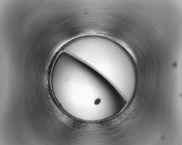 X0000099560972200805160746