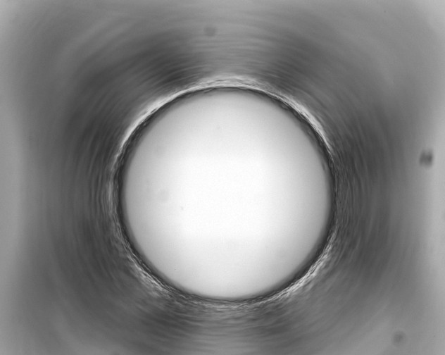 X0000099560973200805160746