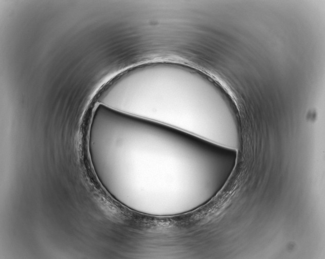 X0000099560975200805160746