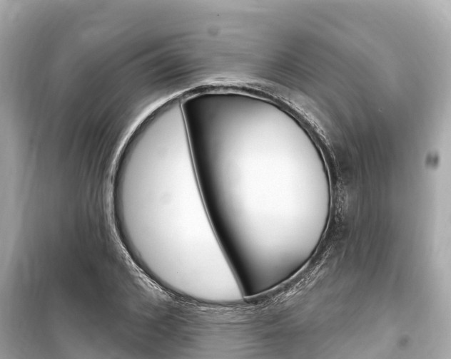 X0000099560976200805160746