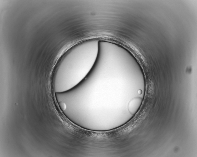 X0000099560978200805160746