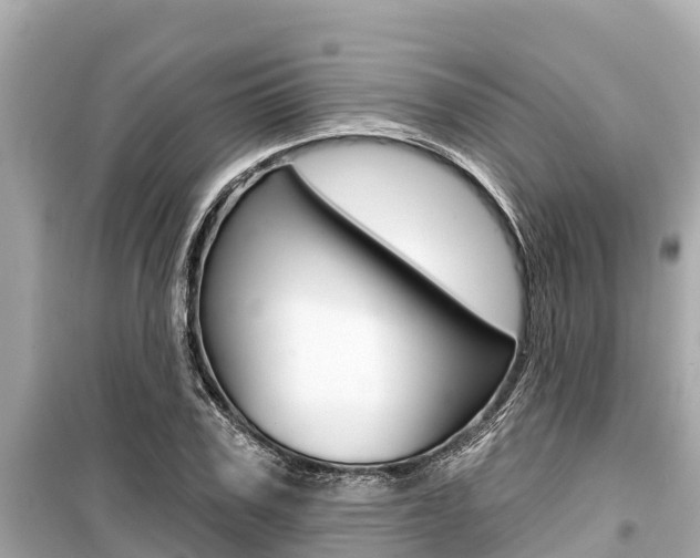X0000099560979200805160746