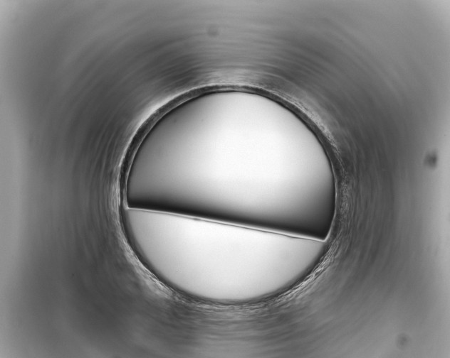 X0000099560980200805160746
