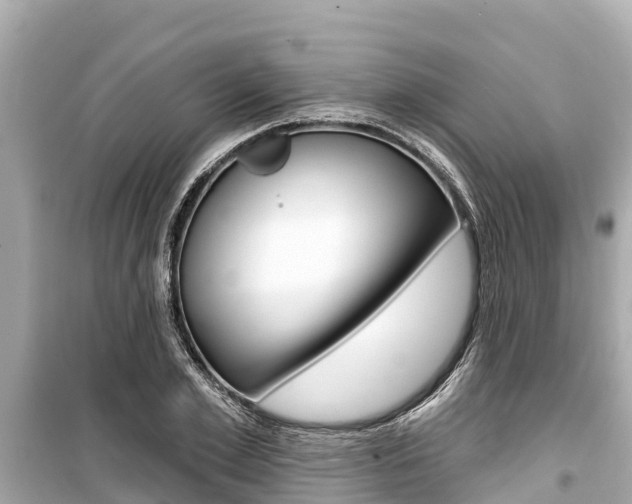 X0000099560981200805160746