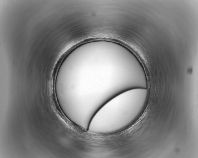 X0000099560982200805160746