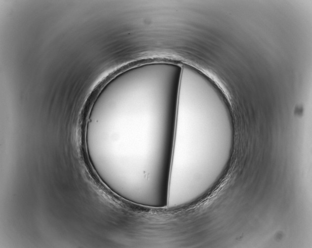 X0000099560983200805160746