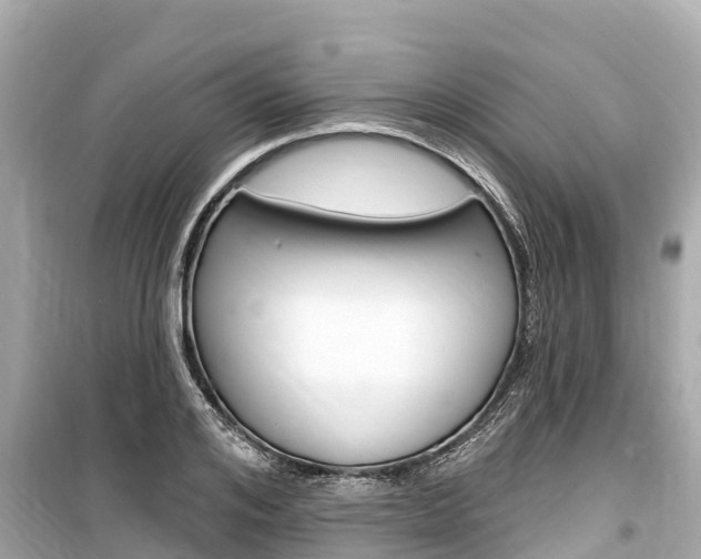 X0000099560984200805160746