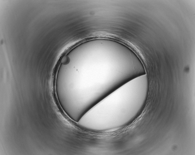X0000099560987200805160746
