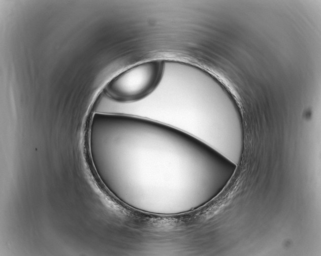 X0000099560991200805160746