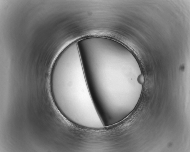 X0000099560992200805160746