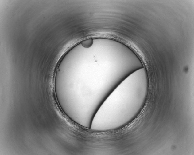 X0000099560994200805160746