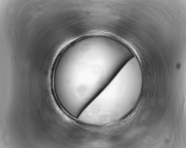X0000099560995200805160746
