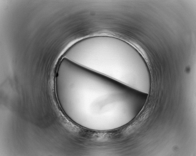 X0000099561000200805160746
