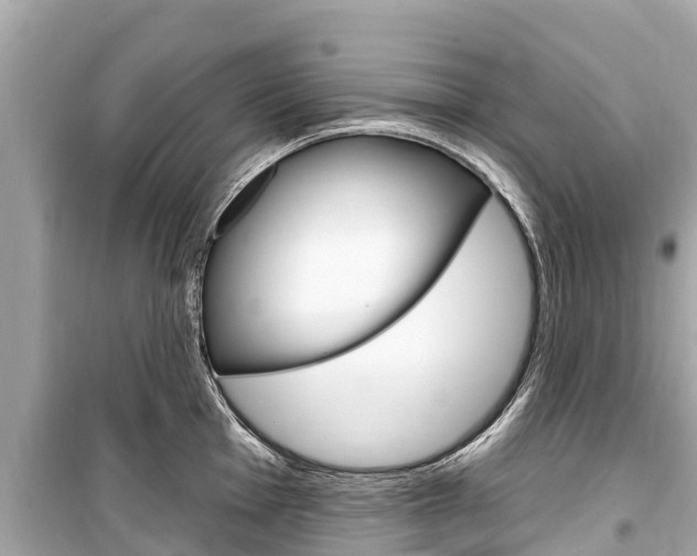 X0000099561001200805160746