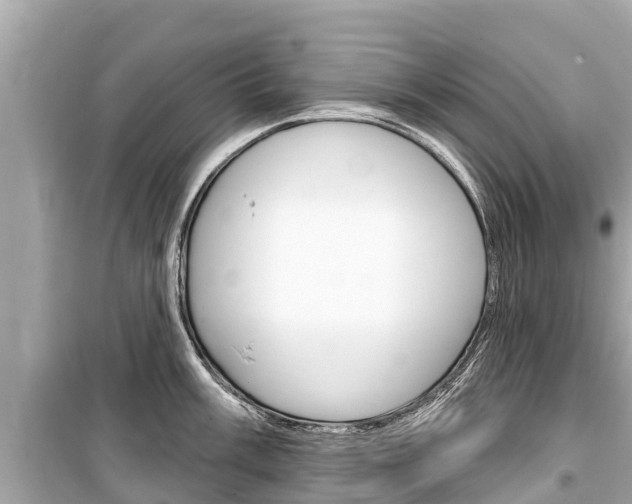 X0000099561003200805160746