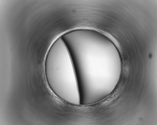 X0000099561004200805160746