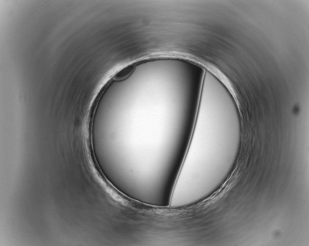 X0000099561005200805160746