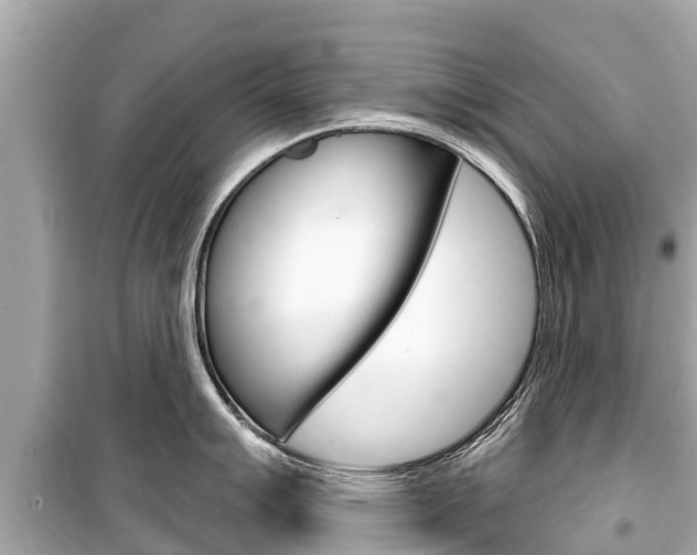 X0000099561007200805160746