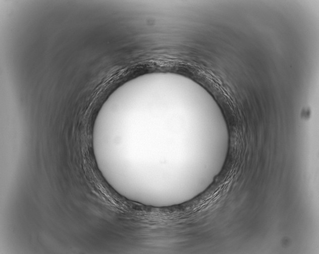 X0000099561009200805160745