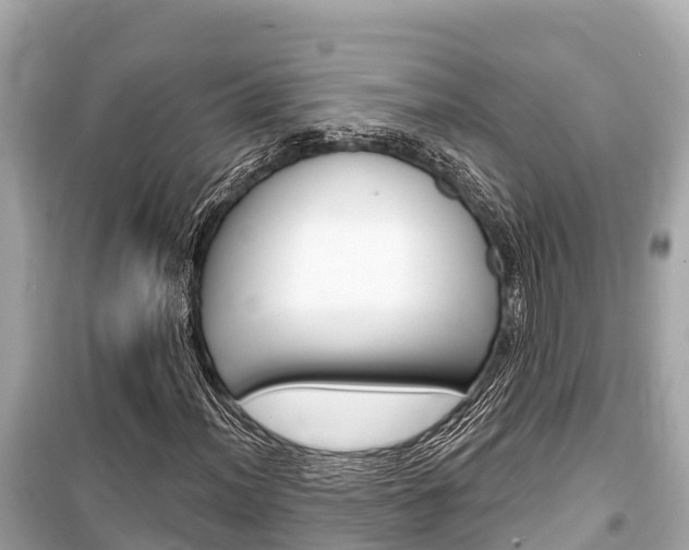 X0000099561012200805160745