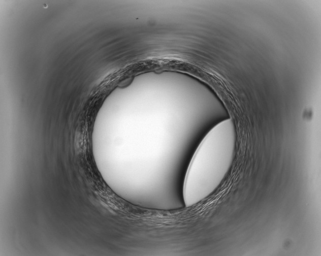 X0000099561014200805160745