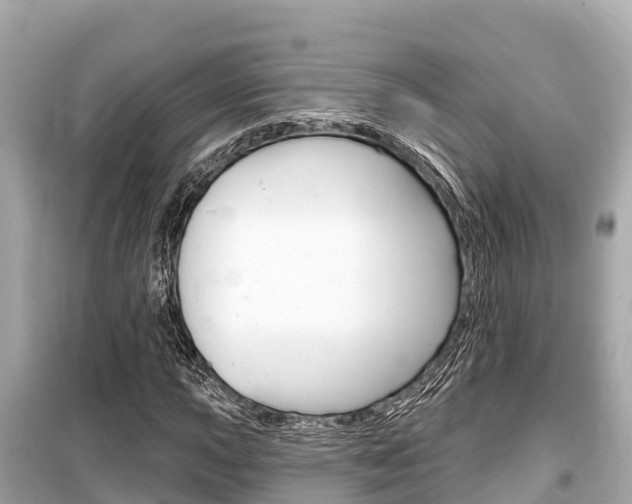 X0000099561015200805160745