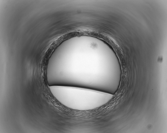 X0000099561016200805160745