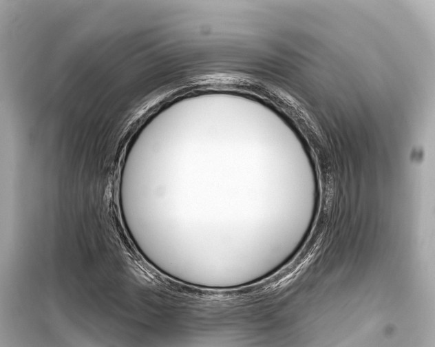 X0000099561017200805160745
