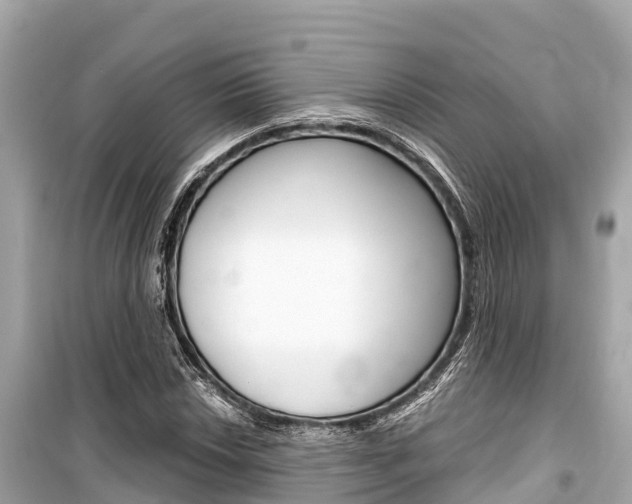 X0000099561018200805160745