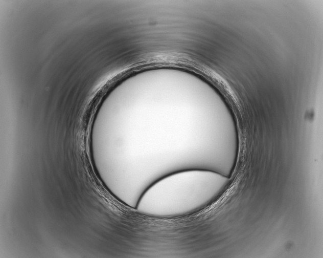 X0000099561019200805160745
