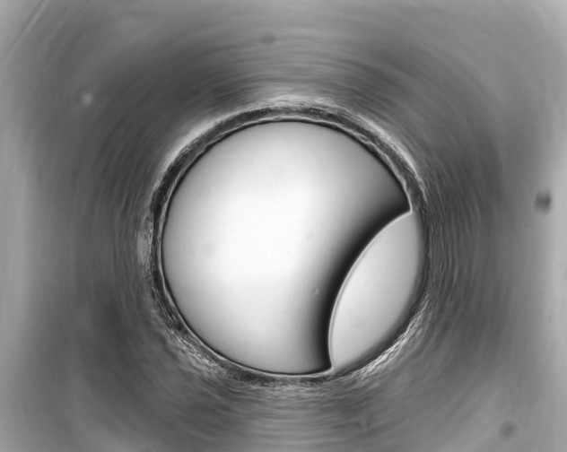 X0000099561021200805160745